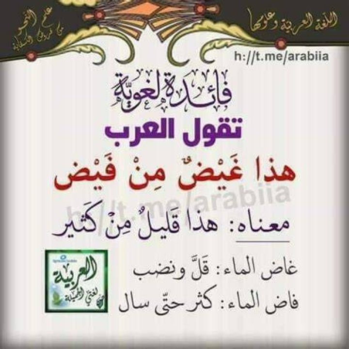 ما معنى غيض من فيض