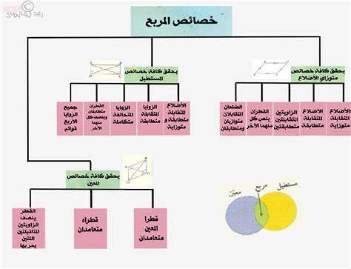 ما هي خصائص المضلعات الرباعية