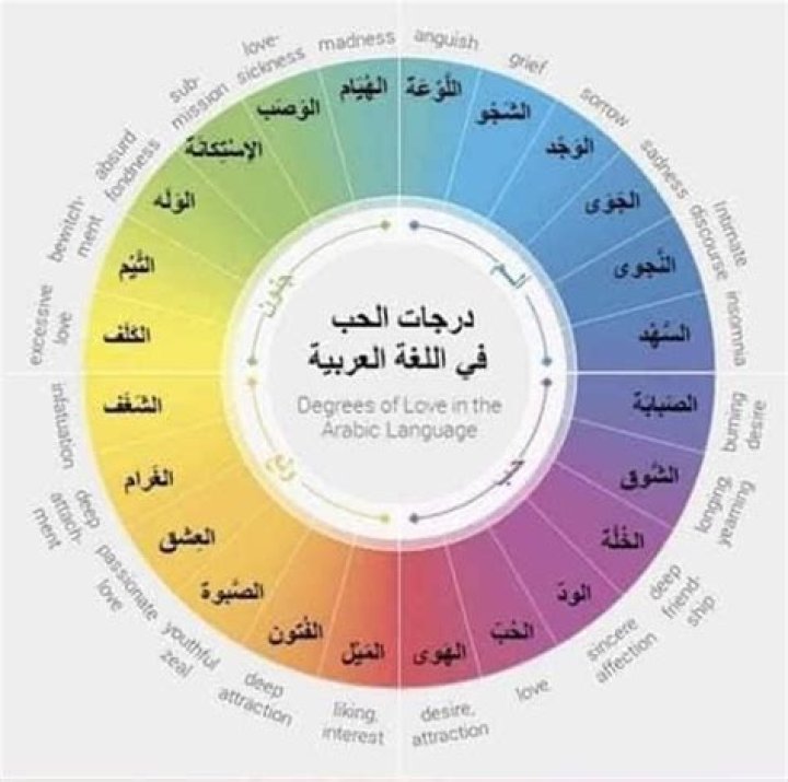 ما هي مراحل الحب السبعة