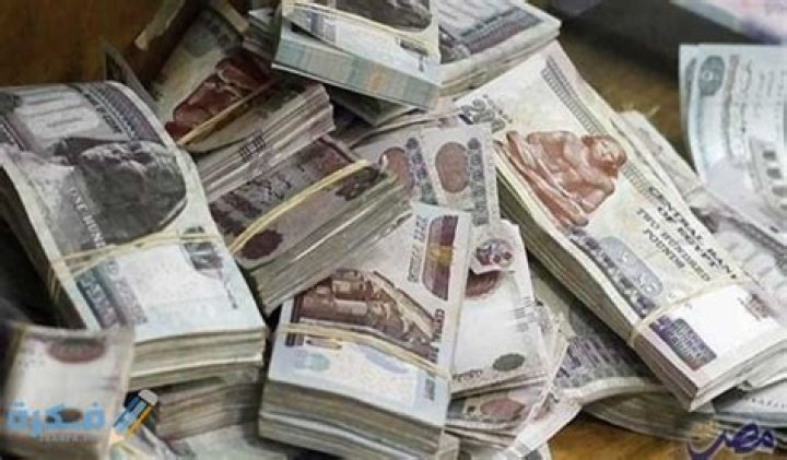 مشروع برأس مال مليون جنيه 2024.. 6 أفكار مضمونة